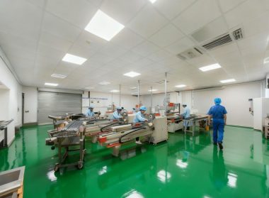 WZARROW Company - Carbon Fiber Arrow Manufacturer