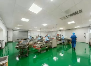WZARROW Company - Carbon Fiber Arrow Manufacturer